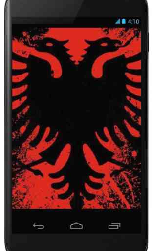 Flag of Albania 3
