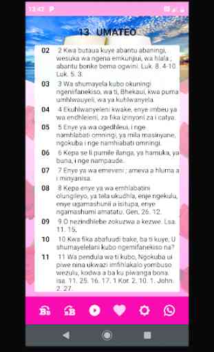 Holy Bible of Woman in Africa in Zulu IBhayibheli 4