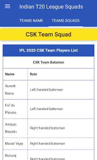 I,P,L 2020 Teams Squads Players List 3