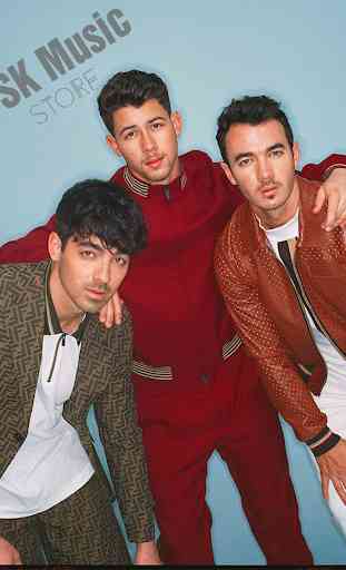 Jonas Brothers - Best Offline Music 1