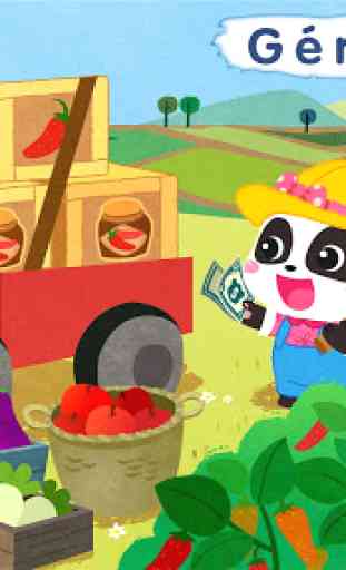 Le jardin de rêve de Bébé Panda 1