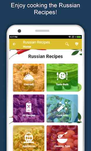 Russian Food Recipes Offline, Free, Cuisine, Cook 2