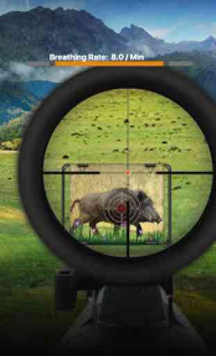 Wild Boar Target Shooting 1