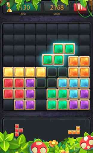 1010 Block Puzzle Game Classic 2