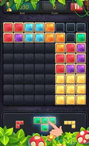 1010 Block Puzzle Game Classic 3