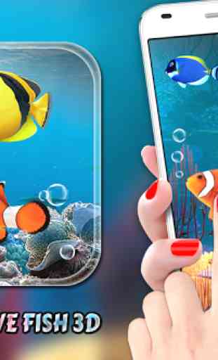 aquarium poisson vivre fond d'écran 2019: koi fish 1