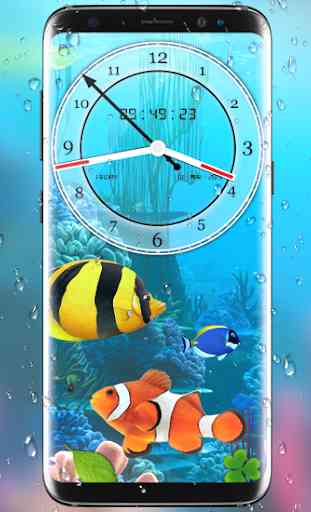 aquarium poisson vivre fond d'écran 2019: koi fish 2