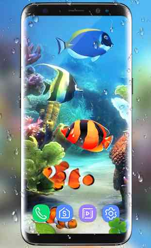 aquarium poisson vivre fond d'écran 2019: koi fish 3