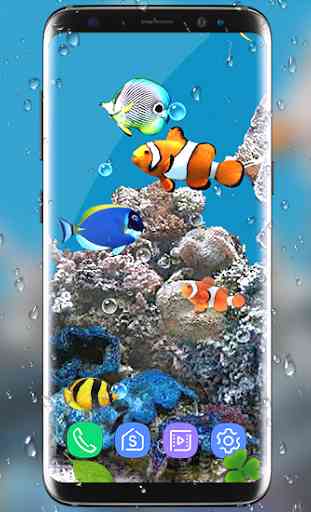 aquarium poisson vivre fond d'écran 2019: koi fish 4