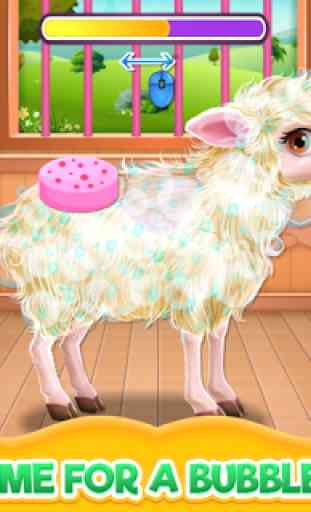 Baby Sheep Care 4