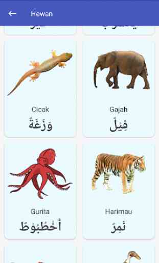 Bahasa Arab Untuk Anak 3