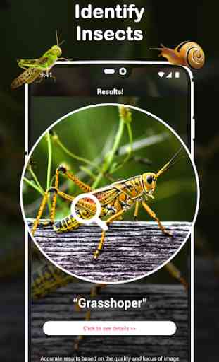 Identifiant d'insecte: Identifiant Caméra photo AI 1