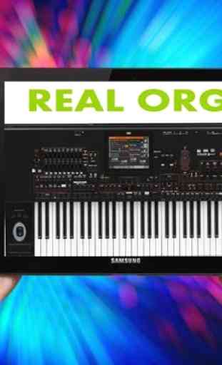 orgue réel 1