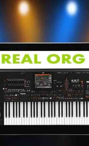 orgue réel 3