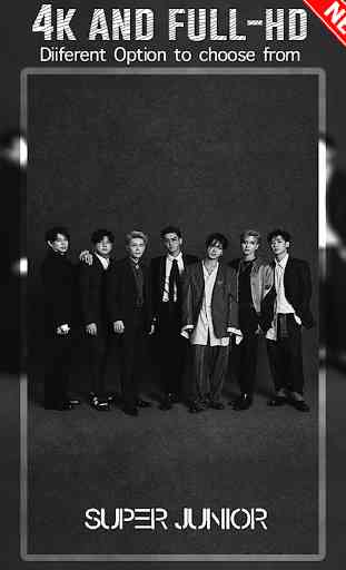Super Junior Wallpaper KPOP HD 3