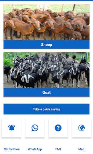 TANUVAS - Sheep and Goat Farming 4