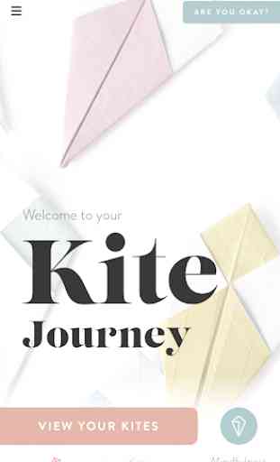 The Kite Program 1