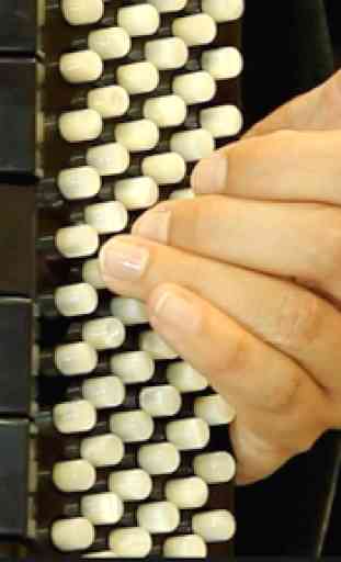 Apprenez à jouer de l'accordéon 1