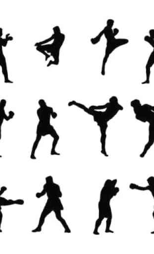 Apprenez les techniques de Muay Thai 2
