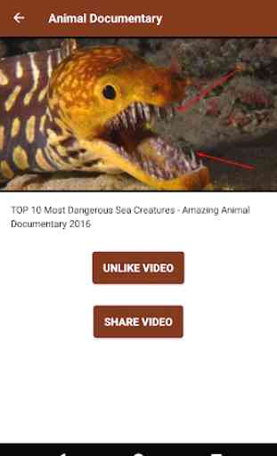 Documentaire animalier en ligne  2