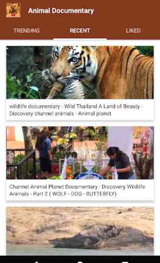 Documentaire animalier en ligne  4