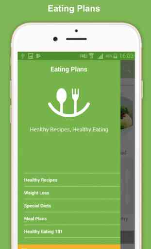 Healthy Eating Meal Plans 4