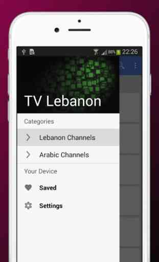 Lebanon Sat TV Info 1