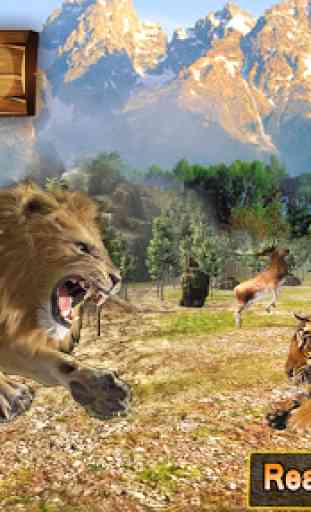 Lion vs Tiger 2 aventure sauvage 1