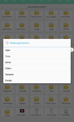 Micro SD File Manager 3
