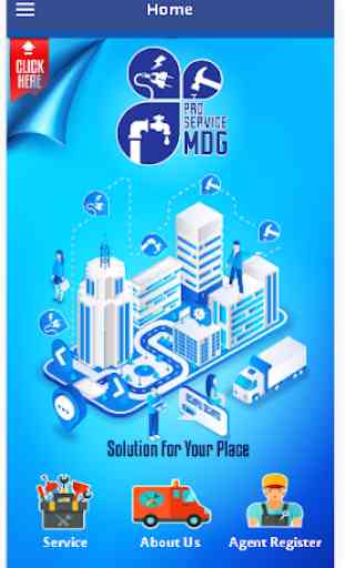 pro service - MDG 1