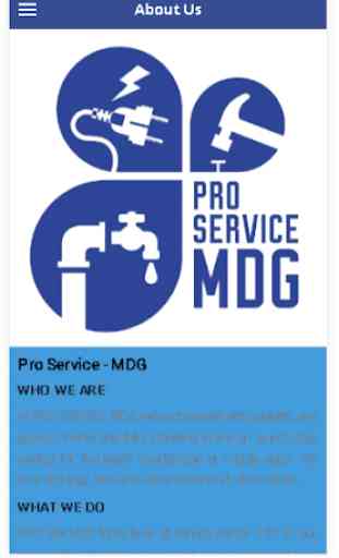 pro service - MDG 3