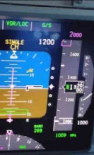 Variometer Primary Flight Display 3