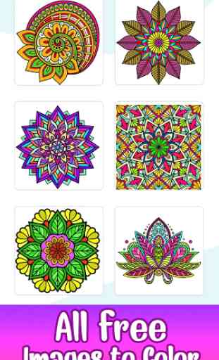 Adult Color by Number Book - Paint Mandala Pages 1