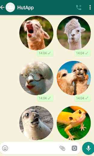 Best Animal Stickers for WhatsApp WAStickerApps 3