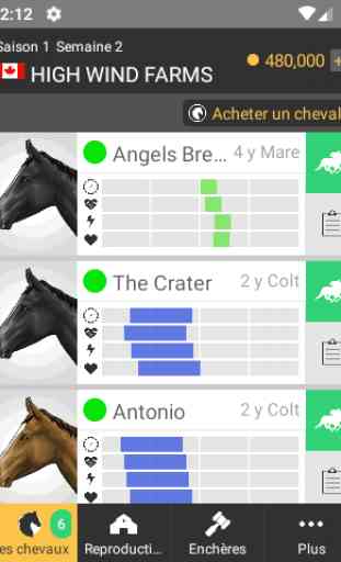 Cheval Courses 3