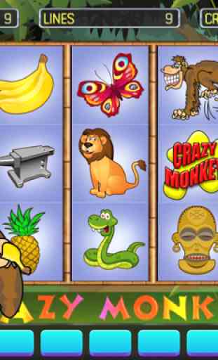 Crazy Monkey Deluxe 1