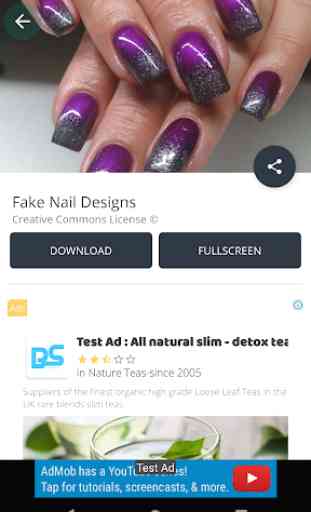 Fake Nail Designs 3