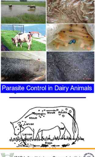 Parasite Control in Dairy Animals 1