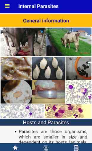 Parasite Control in Dairy Animals 3