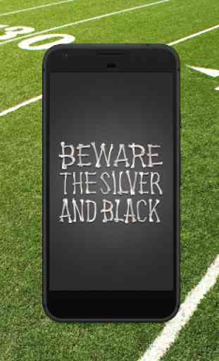Wallpapers for Oakland Raiders Fans 2
