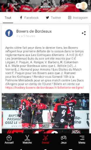 Boxers de Bordeaux 3