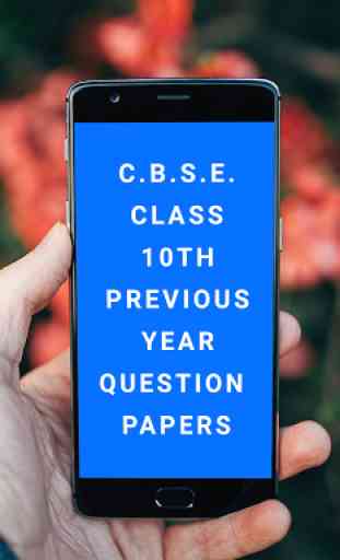 CBSE Class 10 Previous Year Question Papers 1