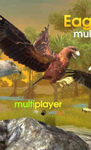 Eagle Multiplayer 1