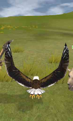 Eagle Multiplayer 4