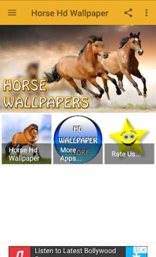 Horse Hd Wallpaper 1