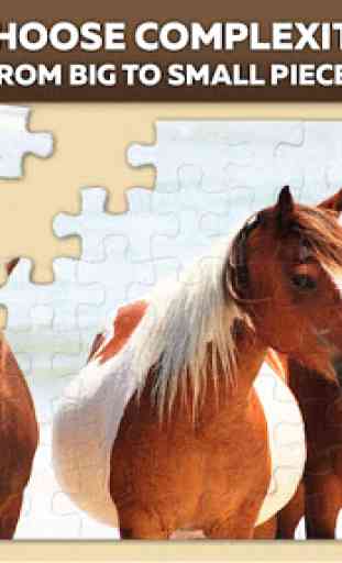 Puzzle de chevaux 1