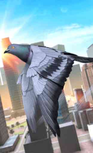 Sauvage Pigeon Oiseau Ville Simulateur 3