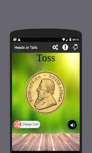 Toss Heads or Tails 2