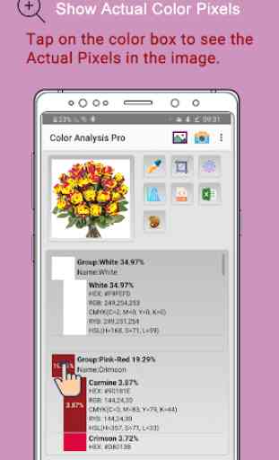 Color Analysis Professional 4