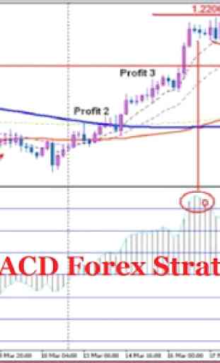 Forex 4 Hour MACD Strategy 4